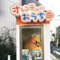 オレンジ通り商店街振興組合の写真・動画_image_88163
