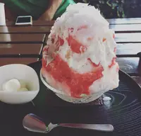雪うさぎの写真・動画_image_88230
