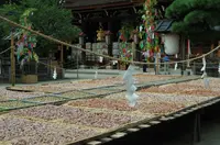 北野天満宮の写真・動画_image_88250