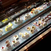 シェレンバウムの写真・動画_image_88266