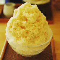 おちゃのこの写真・動画_image_88276