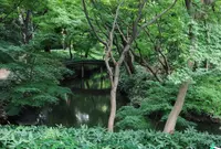 六義園の写真・動画_image_88303