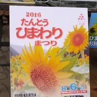 たんとう花公園の写真・動画_image_88304