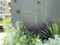 Tas Yardの写真・動画_image_88447