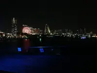 インターナショナル キュイジーヌ サブゼロ (International Cuisine Subzero)の写真・動画_image_88564