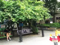 代官山公園の写真・動画_image_88605