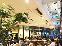 スターバックスコーヒー TSUTAYA横浜みなとみらい店の写真・動画_image_88728