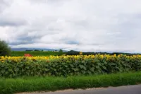 La Paisible - Audrey's Houseの写真・動画_image_88796