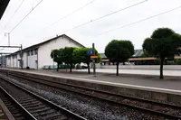 Morgesの写真・動画_image_88798