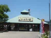 中ノ島公園の写真・動画_image_89160