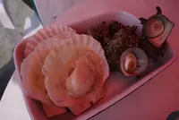 逗子海水浴場の写真・動画_image_89289
