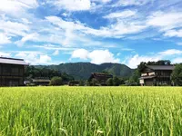 白川郷の写真・動画_image_89348