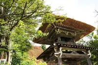 白川郷の写真・動画_image_89349