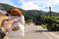 白川郷の写真・動画_image_89350