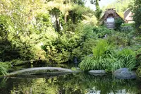 お食事処ます園文助の写真・動画_image_89361