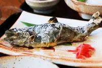 お食事処ます園文助の写真・動画_image_89365