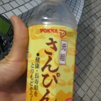 道の駅 かでなの写真・動画_image_89409