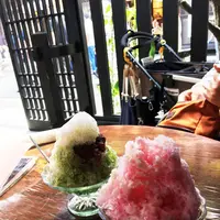 手風琴の写真・動画_image_89497