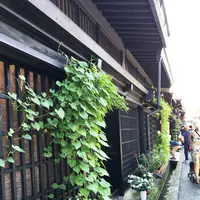 ごくらく舎・観光人力車の写真・動画_image_89631