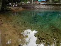 別府弁天池の写真・動画_image_89673