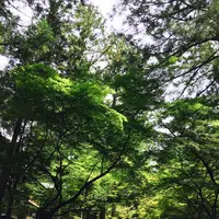 大本山永平寺の写真・動画_image_89710