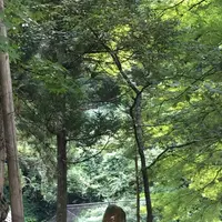 大本山永平寺の写真・動画_image_89717