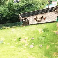 ビスキーハウス(伊豆高原 一碧湖 ペット 宿泊 愛犬宿泊 ペットと泊れる宿 ペット専門の宿 犬が喜ぶ宿 犬連れ 宿 料理が美味しいペット宿)の写真・動画_image_89740