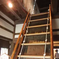 丸岡城の写真・動画_image_89760