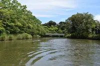 堀川遊覧船の写真・動画_image_90051