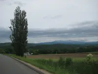 富良野市の写真・動画_image_90221