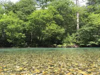 上高地の写真・動画_image_90241