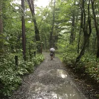上高地の写真・動画_image_90243
