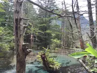 上高地の写真・動画_image_90248