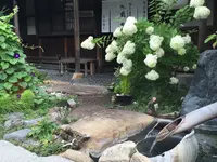 Kazeya (風屋)の写真・動画_image_90286