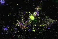 お台場みんなの夢大陸の写真・動画_image_90350