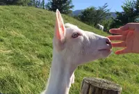 十勝千年の森の写真・動画_image_90507