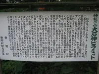 キリストの墓の写真・動画_image_90524