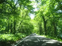 キリストの墓の写真・動画_image_90652