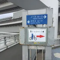 レインボーブリッジの写真・動画_image_90941