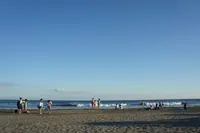 由比ガ浜海水浴場の写真・動画_image_91030
