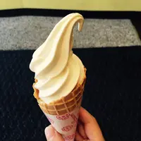 倉敷美観地区の写真・動画_image_91047