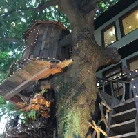 レ・グラン・ザルブルの写真・動画_image_91088