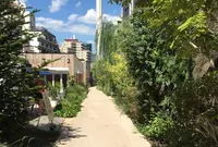 【閉店】カムデンズ ブルースタードーナツの写真・動画_image_91154