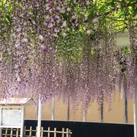 福沢諭吉旧居記念館の写真・動画_image_91169