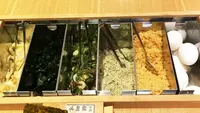 稲庭うどんとめし 金子半之助の写真・動画_image_91474