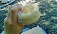 粉花の写真・動画_image_91482