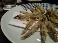 バラモン食堂の写真・動画_image_91516