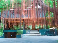 Ad Libの写真・動画_image_91853