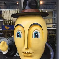 Mango Tangoの写真・動画_image_91955