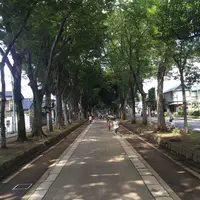 武蔵一宮 氷川神社の写真・動画_image_92015